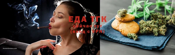 хмурый Абаза