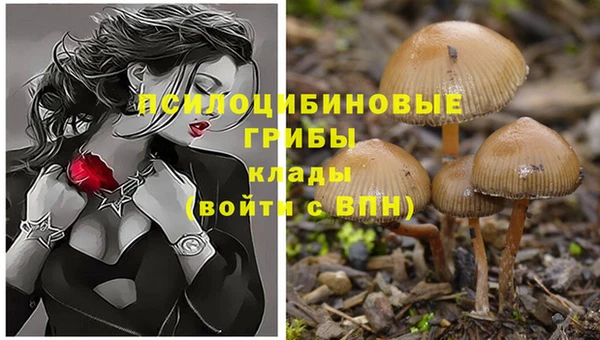 МДМА Абинск