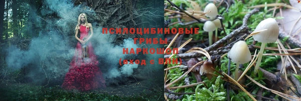 соль ск Абдулино
