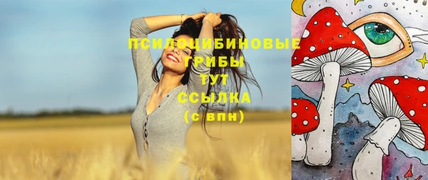 соль ск Абдулино