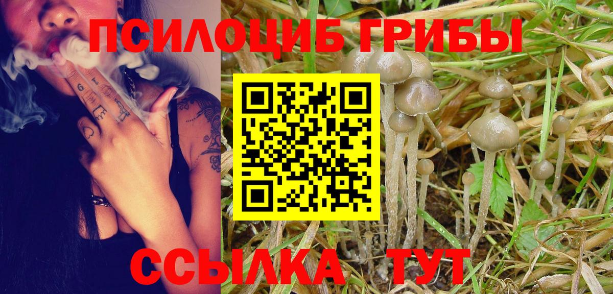Галлюциногенные грибы Magic Shrooms Россошь